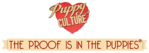 Puppy Culture - the proof is in the puppies